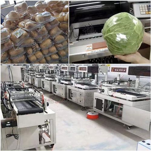 自動化果蔬包裝機械實拍圖