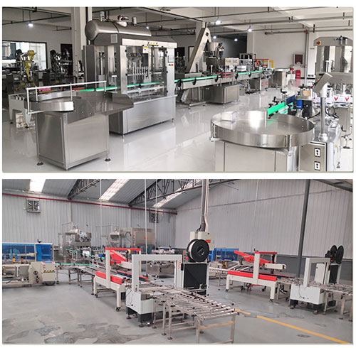 �������b�Cе���a�S���挍�Ĕz�D