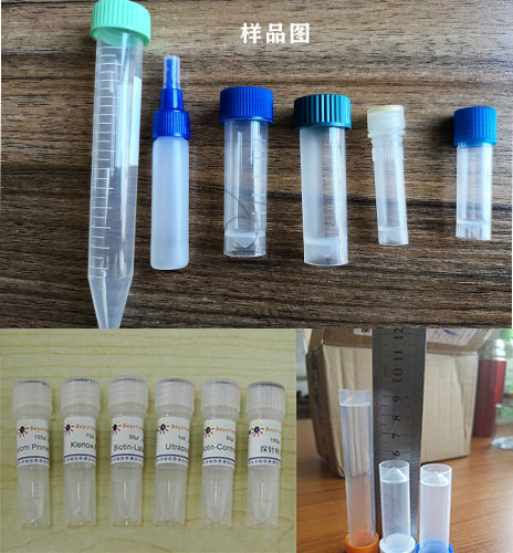 全自動生物試劑灌裝機生產線樣品展示