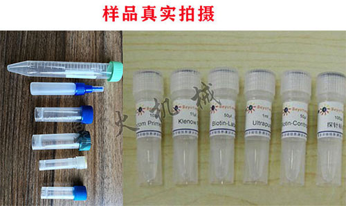 小瓶液體試劑灌裝機樣品展示